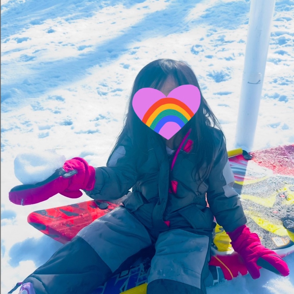 Pink Platinum Snow suit - grey and Pink